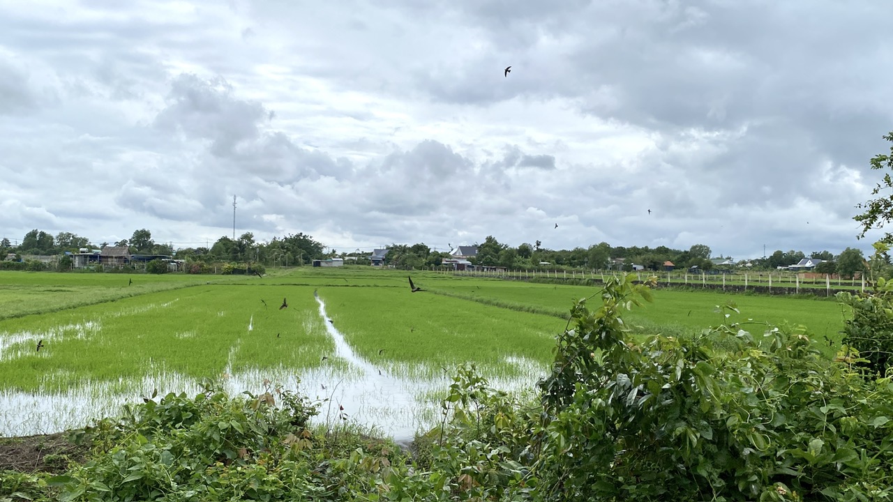 ĐIỀU GÌ ĐÃ LÀM NÊN PCL ÉN VIỆT?